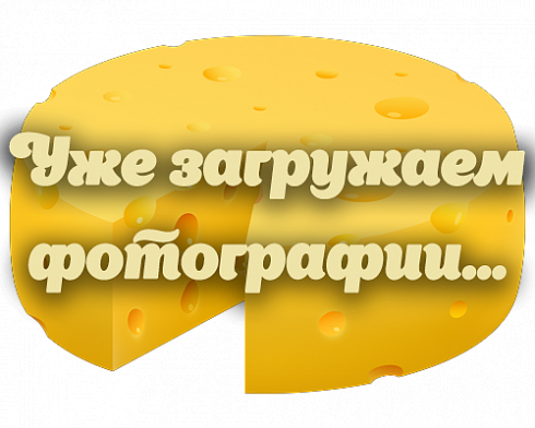 Сыр Королевский 50%, куб, брус, пленка